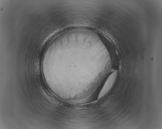 X0000081370684200702020206