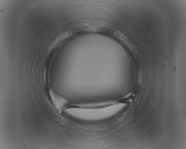 X0000081370685200702020206