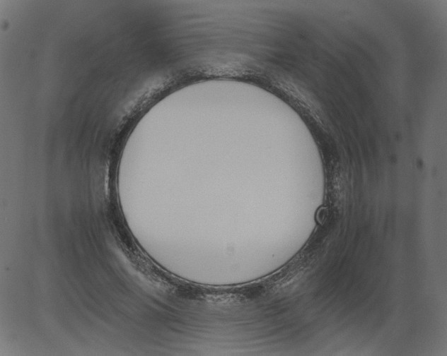 X0000081370686200702020206