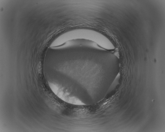 X0000081370689200702020205