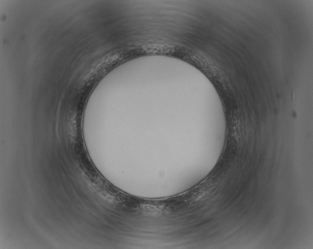 X0000081370690200702020205