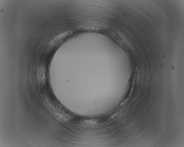 X0000081370692200702020205