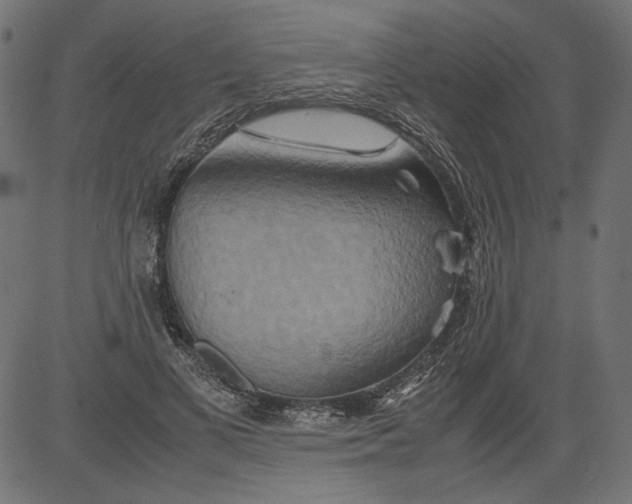 X0000081370693200702020205