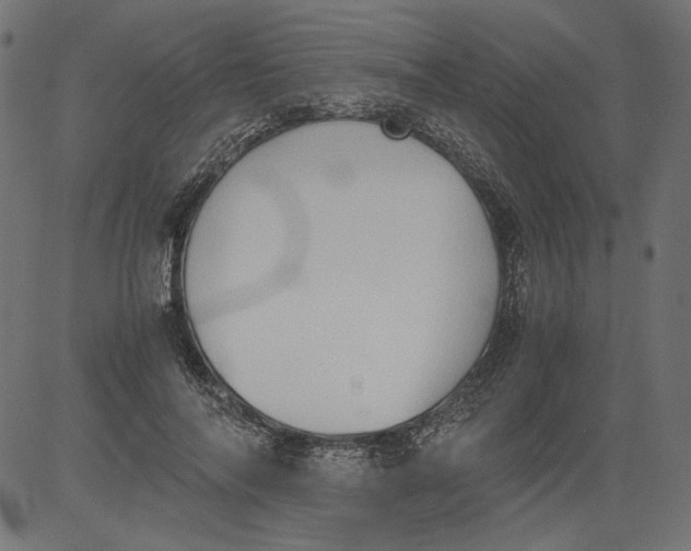 X0000081370694200702020205