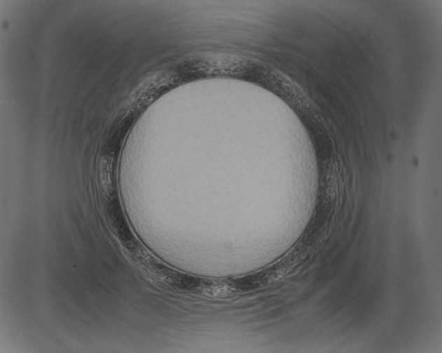 X0000081370695200702020205