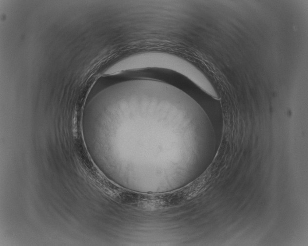 X0000081370696200702020205