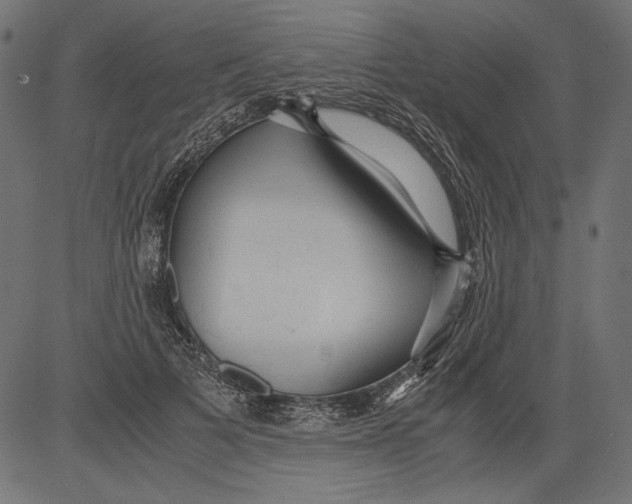 X0000081370697200702020205