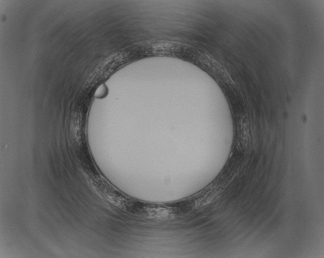 X0000081370698200702020205