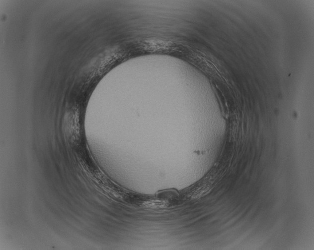 X0000081370700200702020205