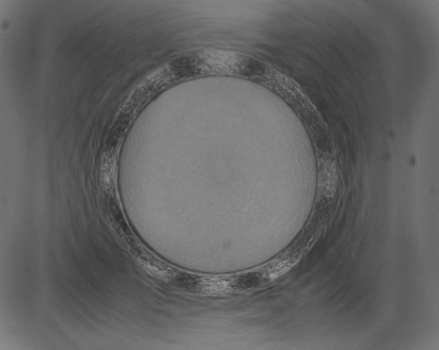 X0000081370701200702020205