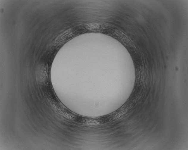 X0000081370702200702020205