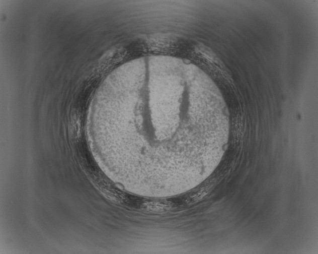 X0000081370703200702020205