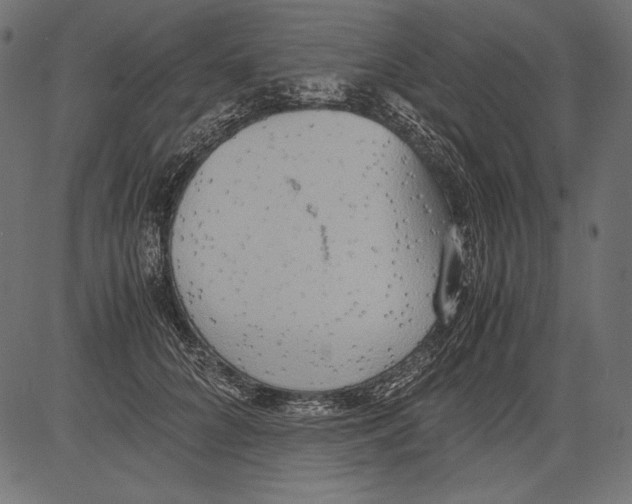 X0000081370704200702020205