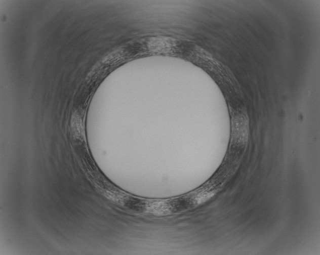 X0000081370705200702020205