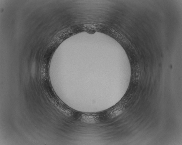 X0000081370706200702020205