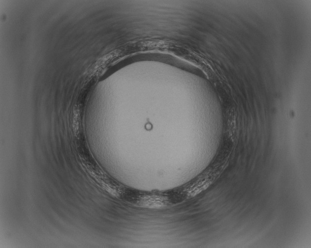 X0000081370708200702020205