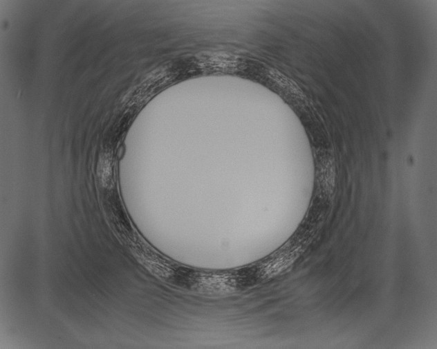 X0000081370709200702020205