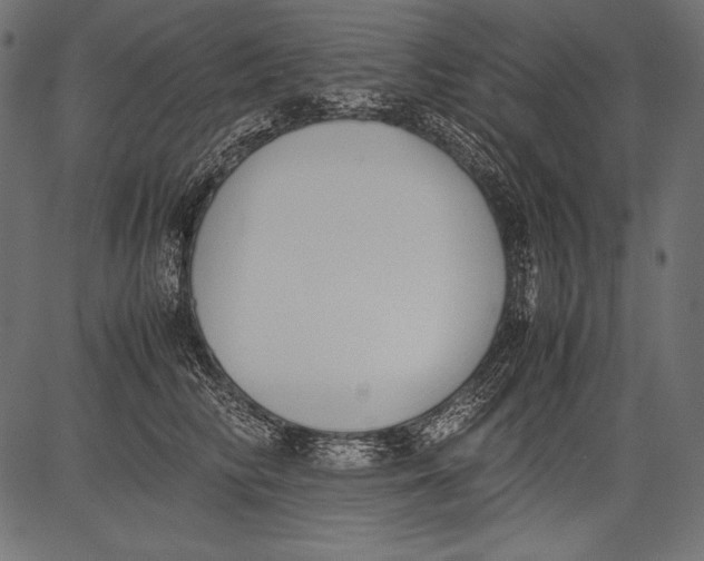 X0000081370710200702020205