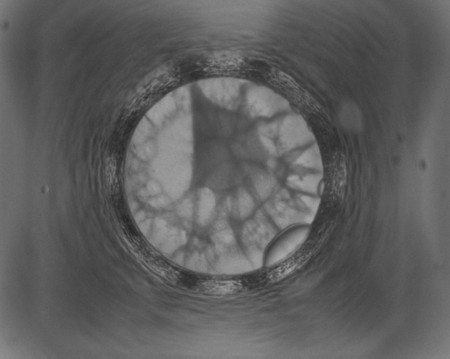 X0000081370711200702020205