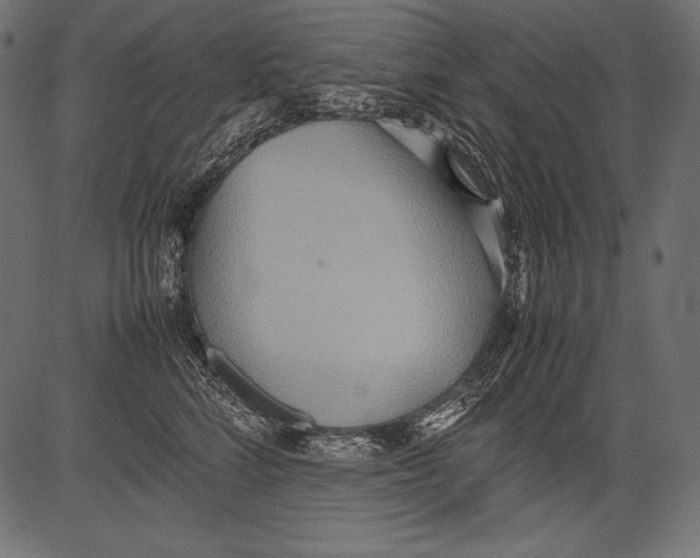 X0000081370712200702020205