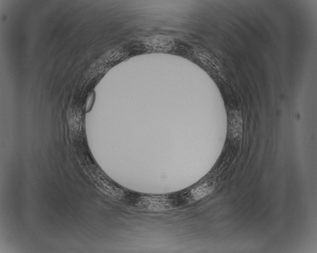 X0000081370713200702020205