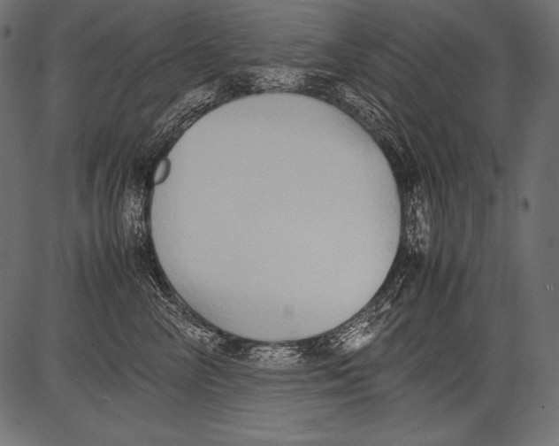 X0000081370714200702020205