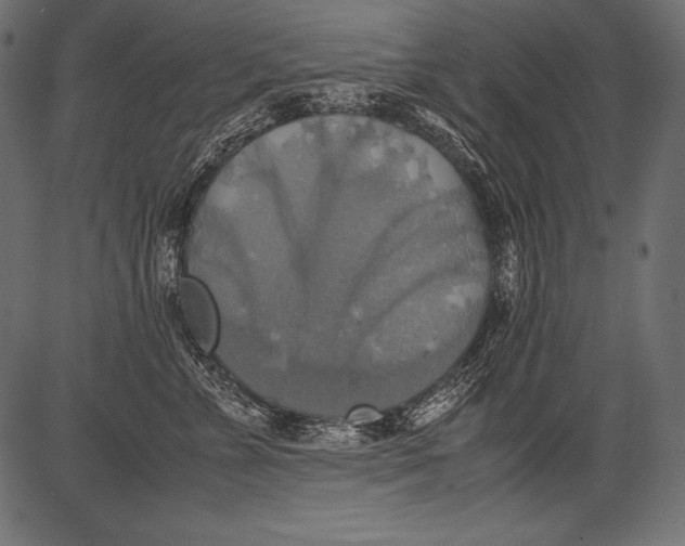 X0000081370715200702020205