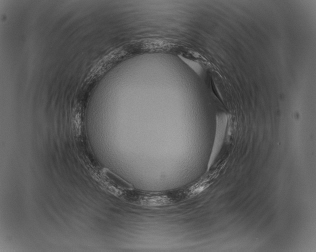 X0000081370716200702020205