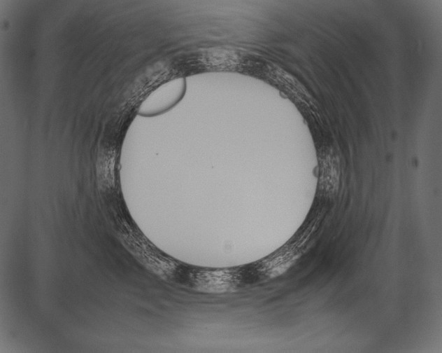 X0000081370717200702020205