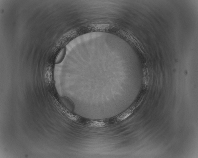 X0000081370718200702020205