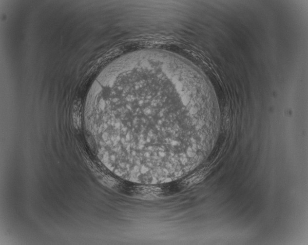 X0000081370719200702020205