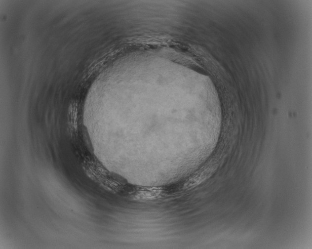 X0000081370720200702020205