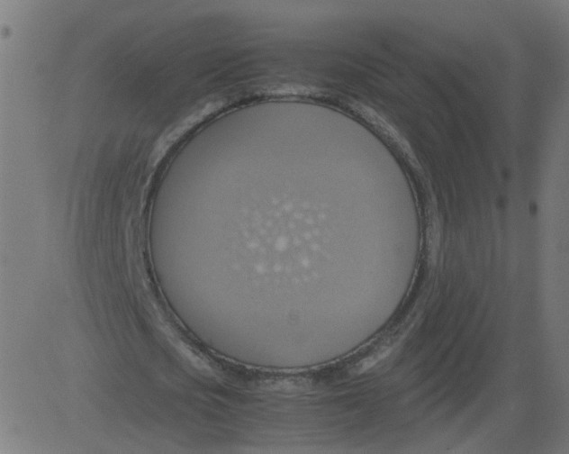 X0000081370721200702020204