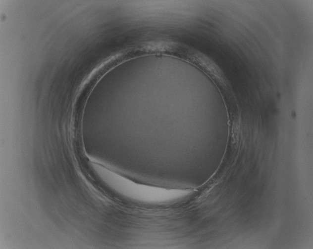 X0000081370722200702020204