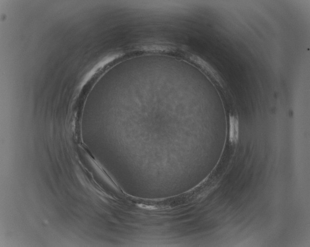 X0000081370723200702020204