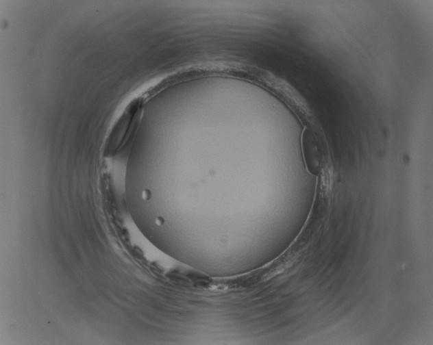 X0000081370724200702020204