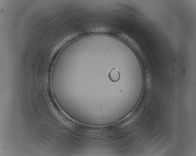 X0000081370725200702020204