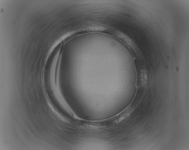 X0000081370726200702020204