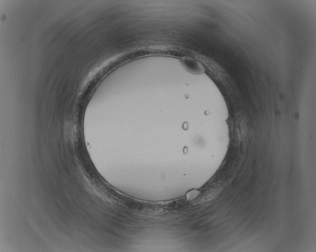 X0000081370728200702020204