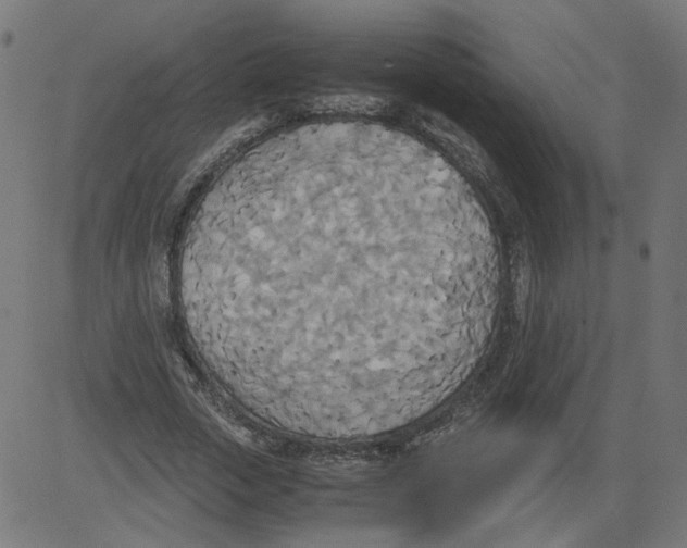 X0000081370729200702020204