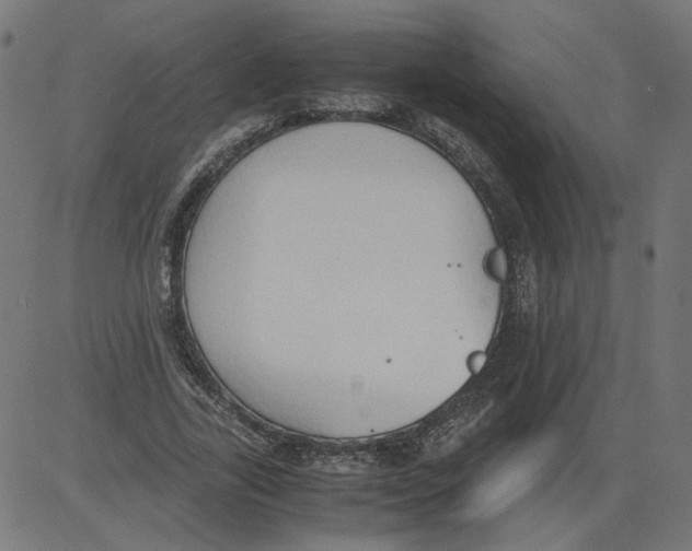 X0000081370731200702020204