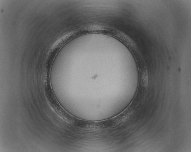 X0000081370732200702020204