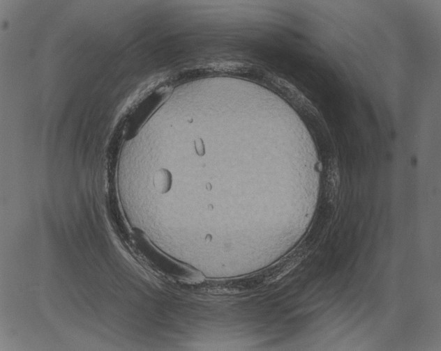 X0000081370734200702020204