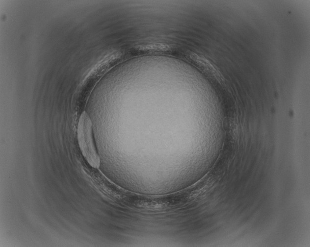 X0000081370735200702020204