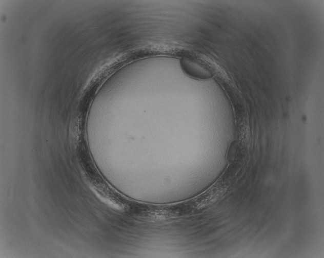 X0000081370736200702020204