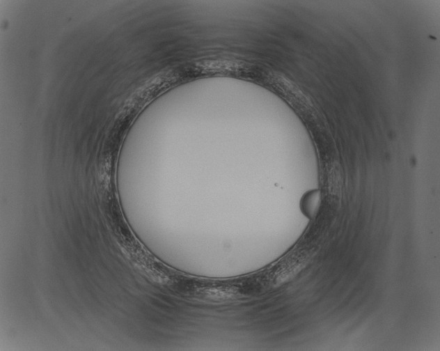 X0000081370737200702020204