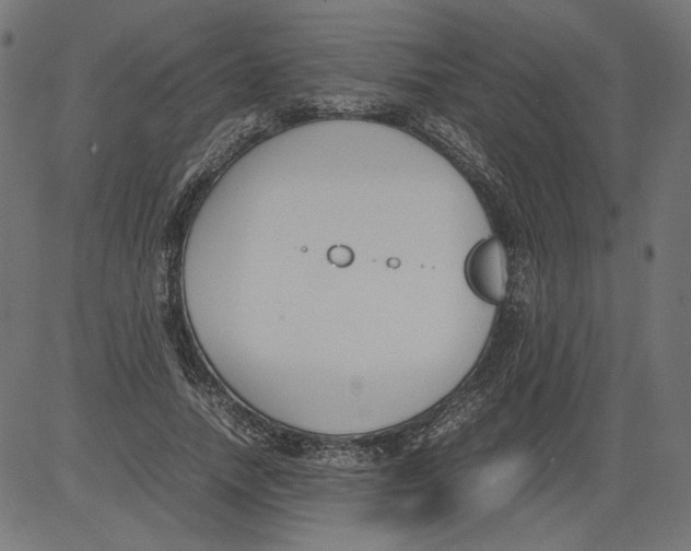 X0000081370738200702020204