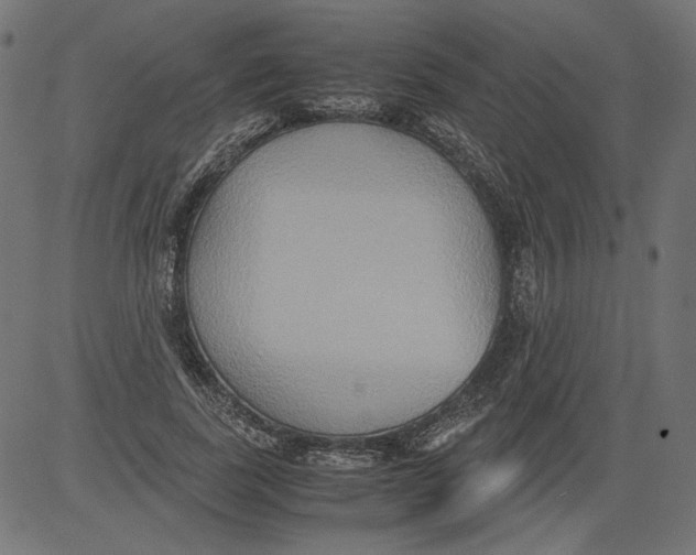 X0000081370739200702020204