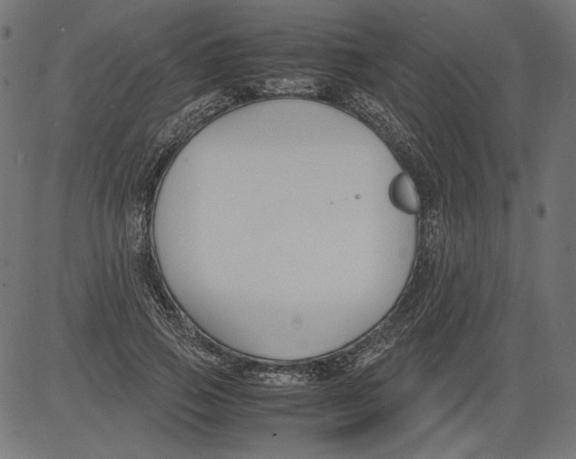 X0000081370741200702020205