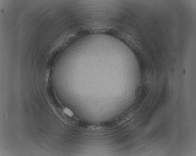 X0000081370742200702020205